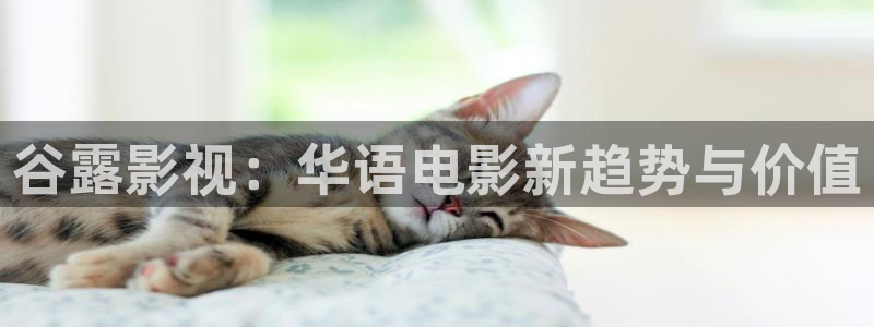 紅葉影城電影：谷露影視：華語電影新趨勢與價值