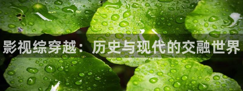 六安紅葉電影院今日影訊：影視綜穿越：歷史與現(xiàn)代的交融世界