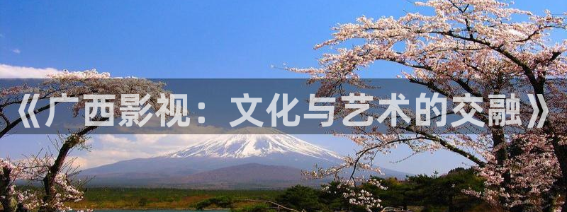 紅葉影視官網(wǎng)：《廣西影視：文化與藝術(shù)的交融》